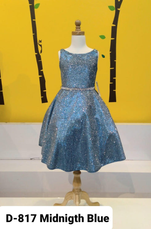Little Girls Midnight Blue Glitter Metallic Flower Girl Dress 2-6 - SophiasStyle.com